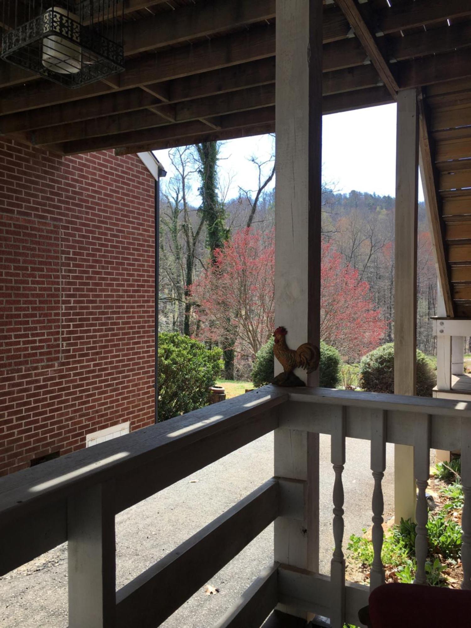 Grafton Lodge Lake Lure Εξωτερικό φωτογραφία